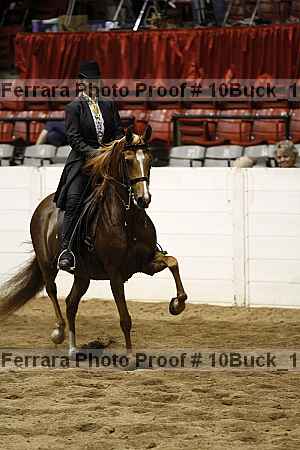 Proof 10buck_1751