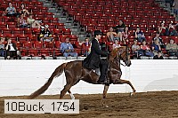 10buck_1754 proof