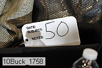 10buck_1758 proof