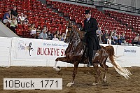 10buck_1771 proof