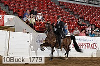 10buck_1779 proof