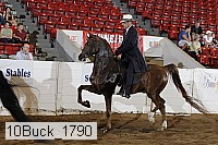 10buck_1790 proof