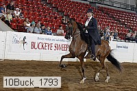 10buck_1793 proof