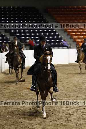 Proof 10buck_1794