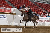 10buck_1795 proof