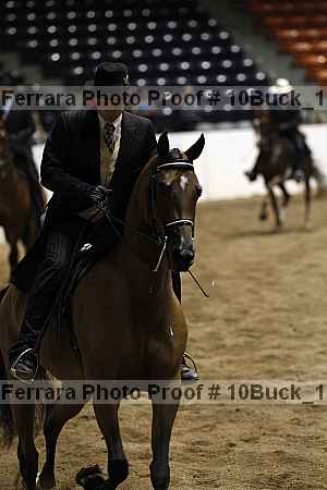 Proof 10buck_1799