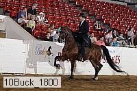 10buck_1800 proof
