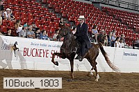 10buck_1803 proof