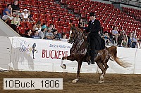 10buck_1806 proof