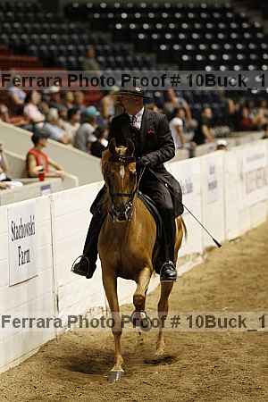 Proof 10buck_1808