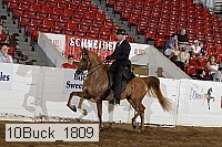 10buck_1809 proof