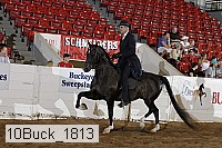 10buck_1813 proof