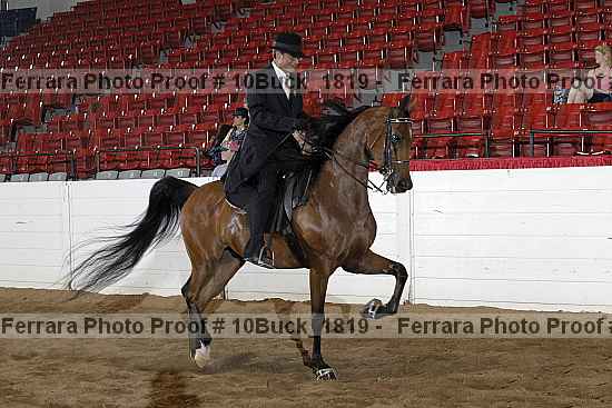 Proof 10buck_1819