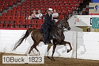 10buck_1823 proof