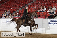 10buck_1824 proof