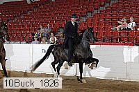 10buck_1826 proof