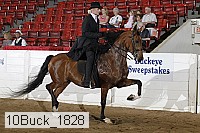 10buck_1828 proof