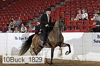 10buck_1829 proof