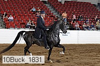 10buck_1831 proof