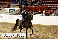 10buck_1833 proof
