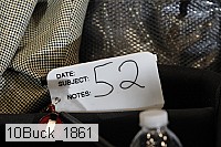 10buck_1861 proof
