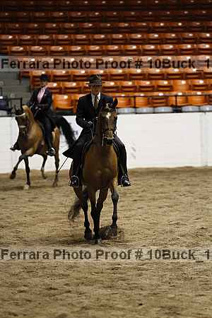 Proof 10buck_1863