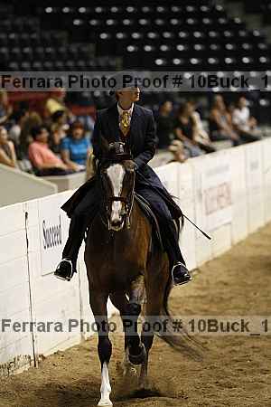 Proof 10buck_1897