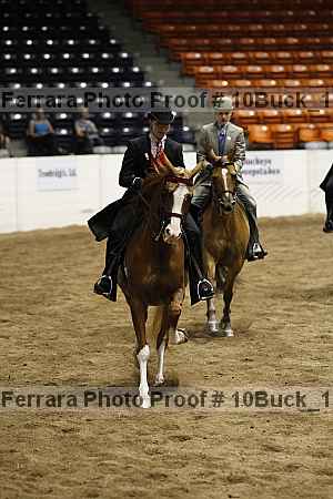 Proof 10buck_1901