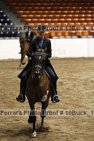 Proof 10buck_1903