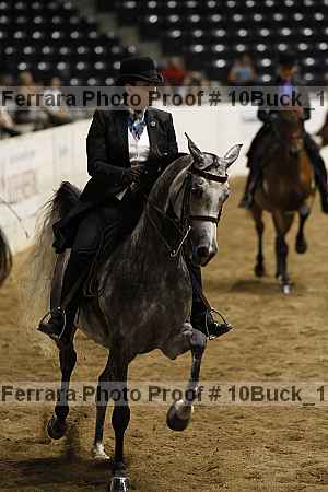 Proof 10buck_1909