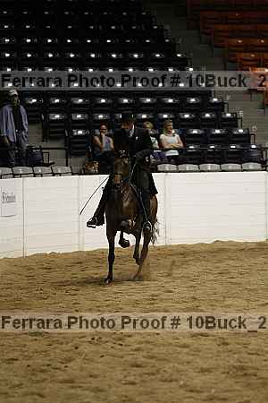 Proof 10buck_2060