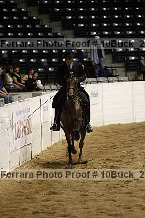 Proof 10buck_2061
