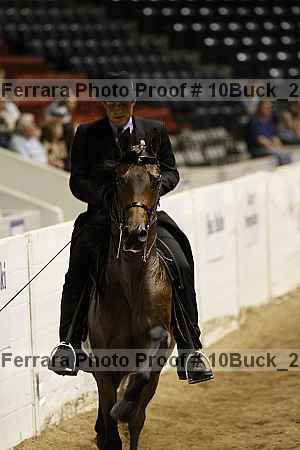 Proof 10buck_2062