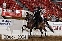 10buck_2064 proof