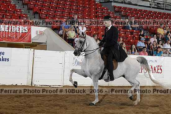 Proof 10buck_2066