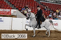 10buck_2066 proof