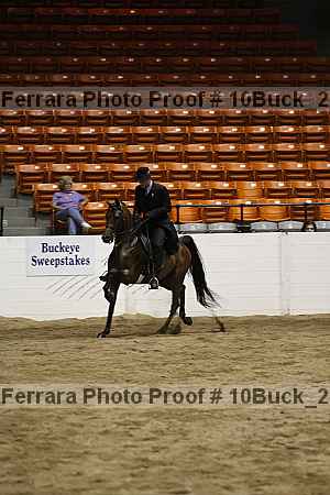 Proof 10buck_2070