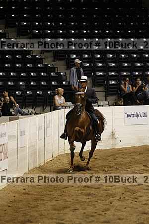 Proof 10buck_2074
