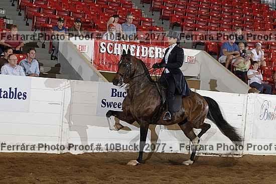 Proof 10buck_2077
