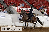 10buck_2077 proof