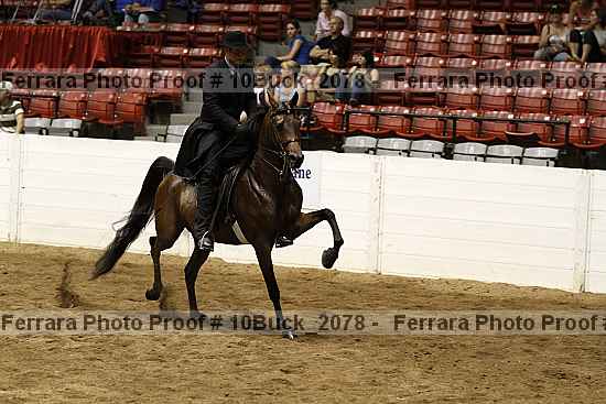 Proof 10buck_2078