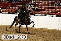 10buck_2078 proof