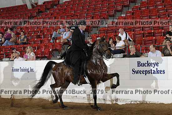 Proof 10buck_2079