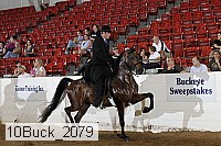 10buck_2079 proof