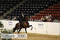 10buck_2080 proof