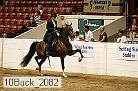 10buck_2082 proof