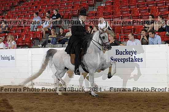 Proof 10buck_2084