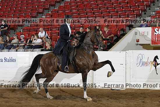 Proof 10buck_2085
