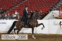 10buck_2085 proof