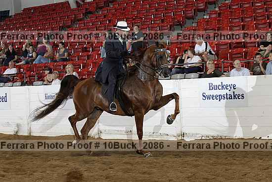 Proof 10buck_2086